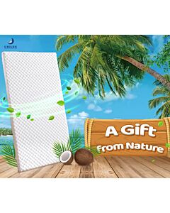 CHILUX Coir Mattress Drap
