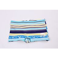 Arena: Boy Swim Trunk (5 - 6 yrs)