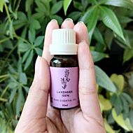 Plantsense: Lavender Pure Essential Oil 10ml
